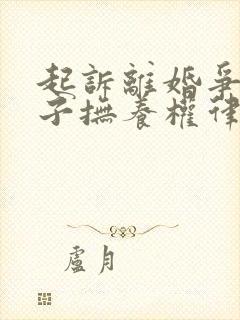 起诉离婚争取孩子抚养权律师费