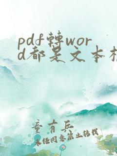 pdf转word都是文本框怎办