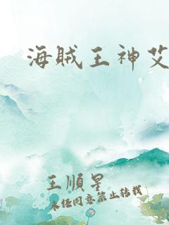海贼王神艾尼路