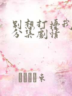 别想打扰我学习分集剧情