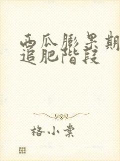 西瓜膨果期3次追肥阶段