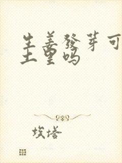 生姜发芽可以种土里吗