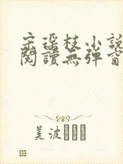 宋瑶枝小说免费阅读无弹窗最新章节