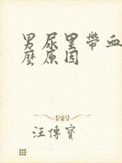男尿里带血是什么原因