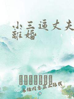 小三逼丈夫和我离婚