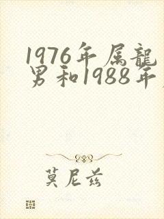 1976年属龙男和1988年属龙女配吗