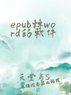 epub转word的软件