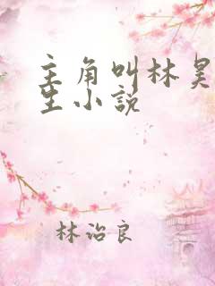 主角叫林昊的重生小说