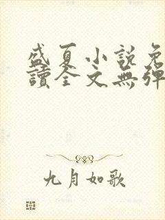 盛夏小说免费阅读全文无弹窗