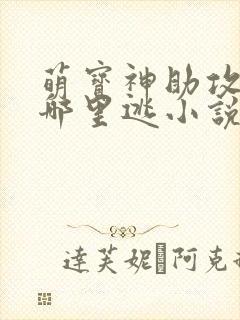 萌宝神助攻爹地哪里逃小说