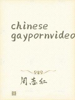 chinesegaypornvideo