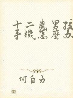 十二岁男孩沉迷手机怎么办