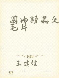 国内精品久久久毛片