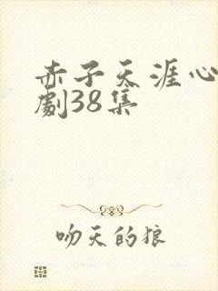 赤子天涯心电视剧38集