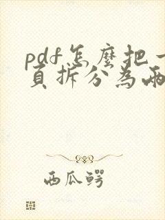 pdf怎么把一页拆分为两页