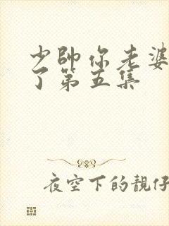 少帅你老婆又跑了第五集