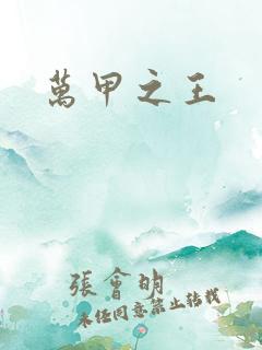 万甲之王