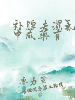 补脾去湿气的的中成药有