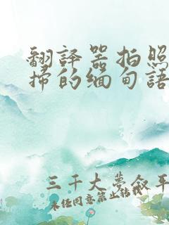 翻译器拍照扫一扫的缅甸语语翻译