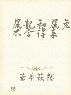 属龙和属兔的合不合得来