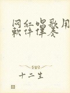 网红唱歌用什么软件伴奏