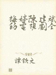 梅婷陈建斌主演的电视剧全部
