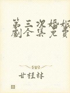 第三次婚姻电视剧全集免费播放在线