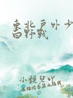 东北户外少妇对白野战