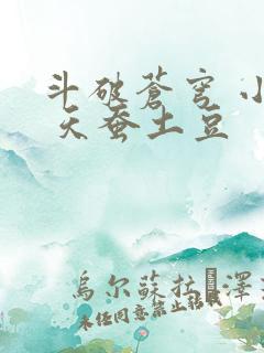 斗破苍穹 小说 天蚕土豆
