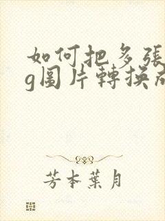 如何把多张jpg图片转换成pdf图片