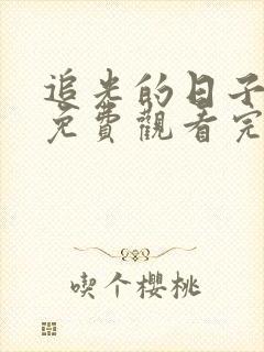 追光的日子视剧免费观看完整版