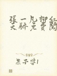 张一凡柳红官道天骄免费阅读笔趣阁