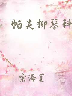 帕夫柳琴科二世