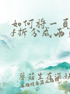 如何将一页pdf拆分成两页