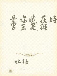 爱你藏在时光里男主是谁