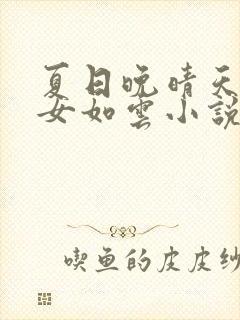 夏日晚晴天之美女如云小说