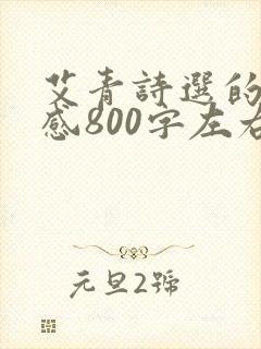艾青诗选的读后感800字左右