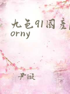 九色91国产porny