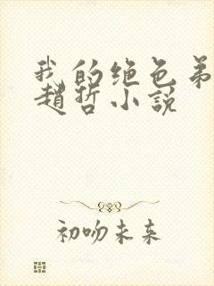 我的绝色弟媳妇赵哲小说