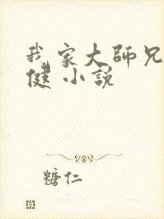 我家大师兄太稳健 小说