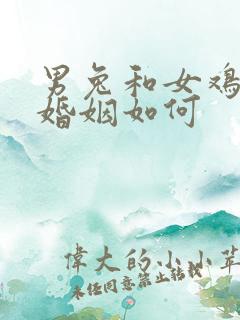 男兔和女鸡相配婚姻如何