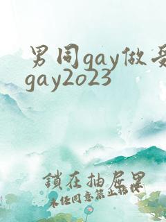 男同gay做受gay2o23