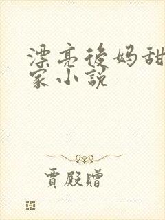 漂亮后妈甜翻全家小说
