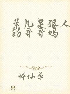 叶凡是狠人大帝的哥哥吗