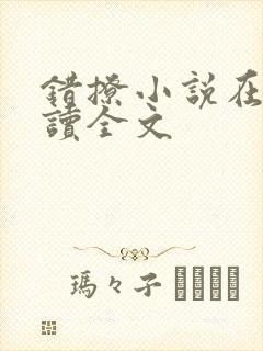 错撩小说在线阅读全文