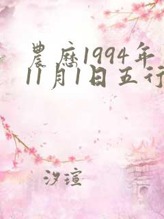 农历1994年11月1日五行八字