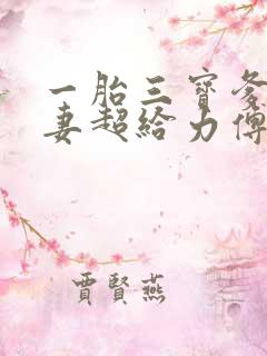 一胎三宝爹地宠妻超给力傅