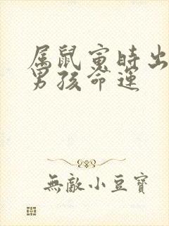 属鼠寅时出生的男孩命运