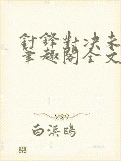 针锋对决未删减笔趣阁全文阅读第17章
