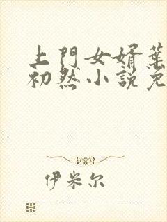 上门女婿叶辰萧初然小说免费读